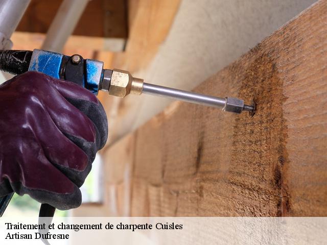 Traitement et changement de charpente  cuisles-51700 Artisan Dufresne